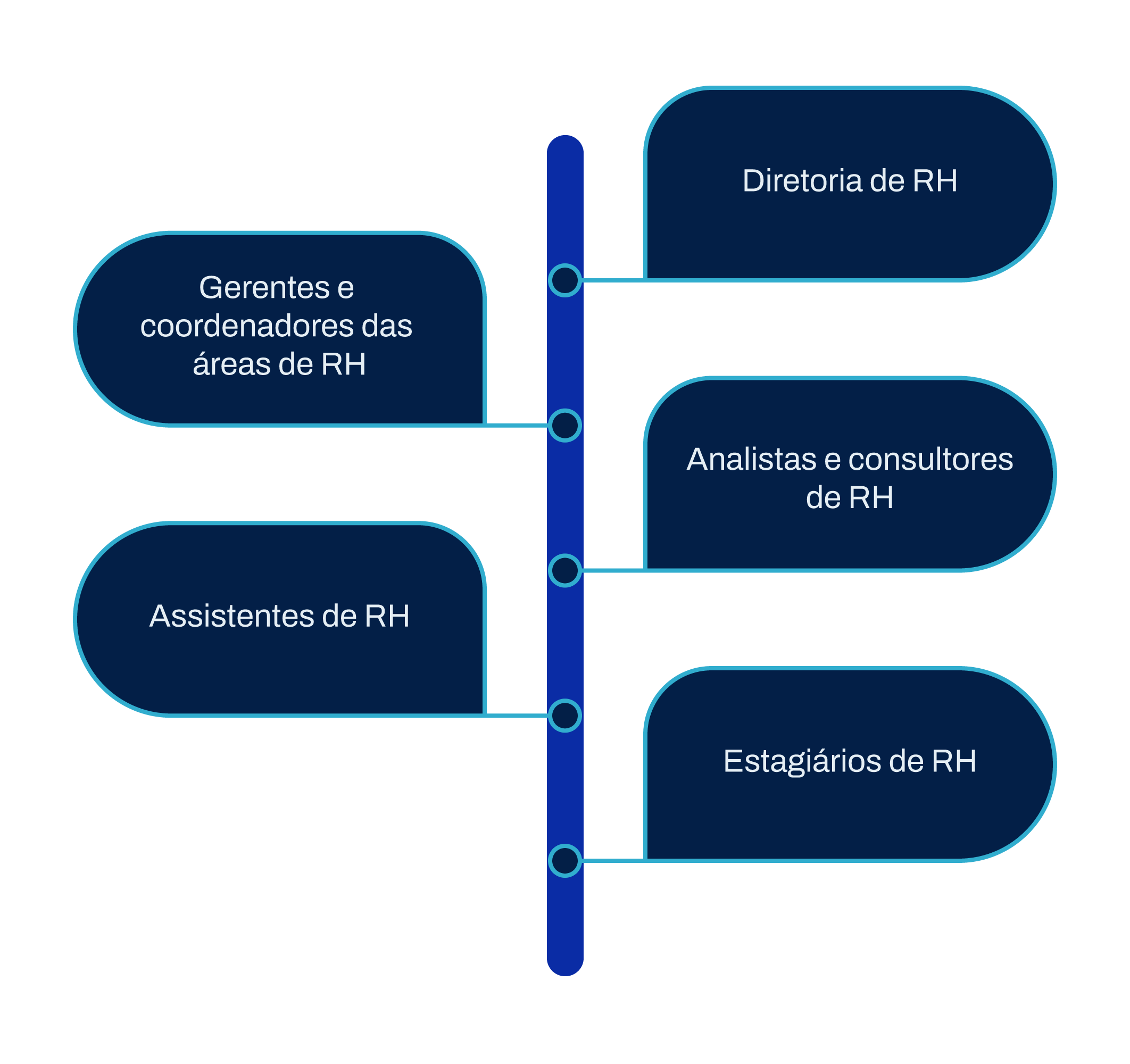 Estrutura de RH: o guia completo para adotar na sua empresa